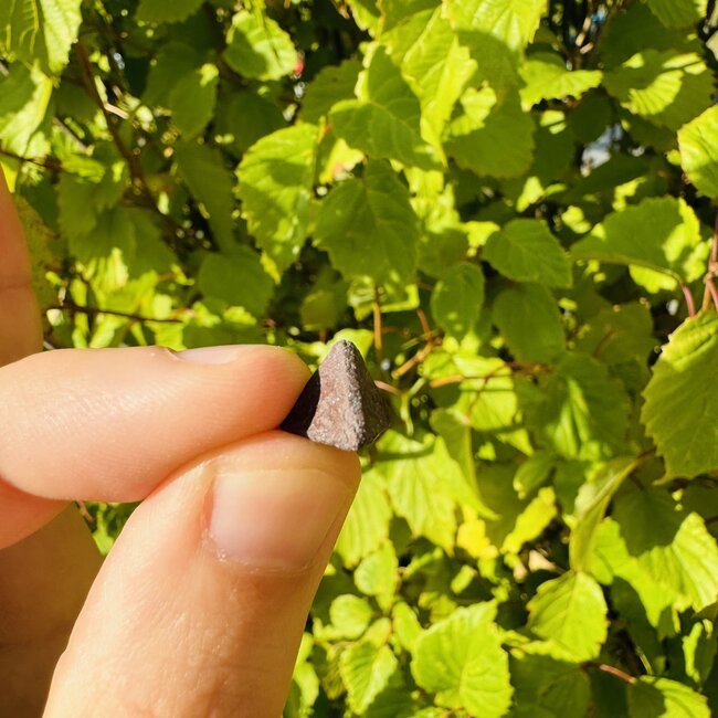 Zunyite - Octahedron