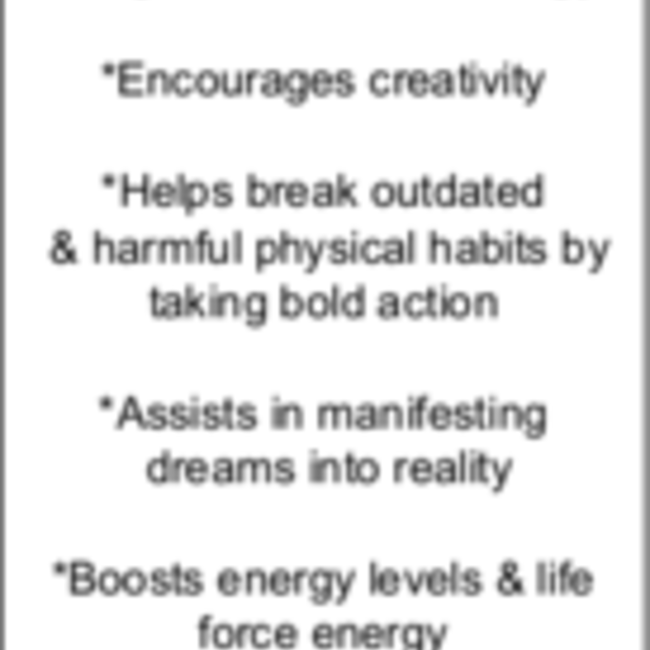 Carnelian Pendant - Marquise Marquee Bezel - Sterling Silver