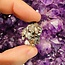 Meteorite (Campo Del Cielo) - Rough Raw Natural