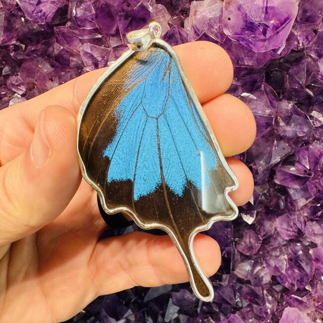 Blue & Black Butterfly Wing Pendant - Sterling Silver 2.5" Peru Emerge Collection