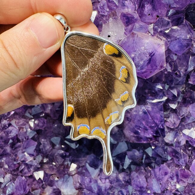 Blue & Black Butterfly Wing Pendant - Sterling Silver - 3" Large Peru Emerge Collection