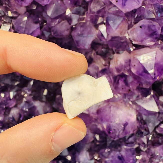 Natrolite (Rhodatrolite Thomsonite White Larimar) - Tumbled