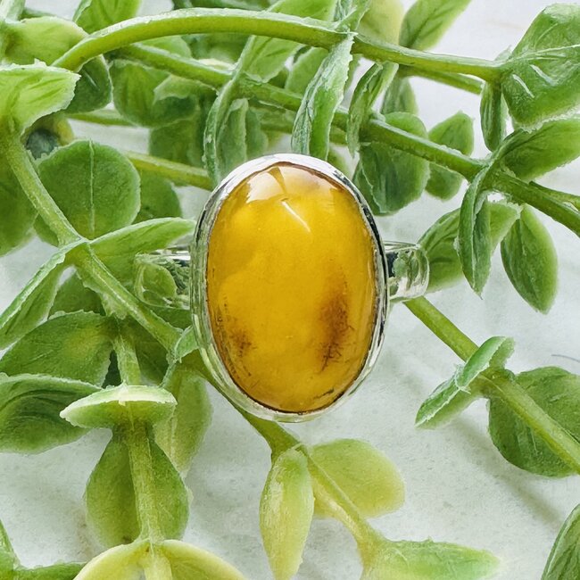 Bone Amber Ring - Size 7.75 Oval Bezel - Sterling Silver .925