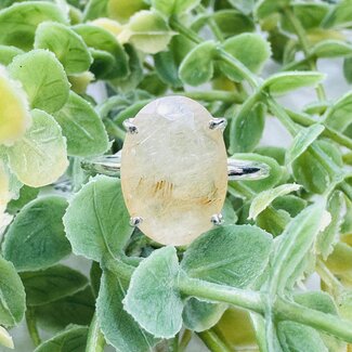 Gold (Golden Rutile Angel Venus Hair) Rutilated Quartz Quartz Ring - Size 7.75 Oval Faceted - Sterling Silver