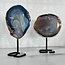 Agate Slabs on Metal Pin Stand - Medium 6-7"