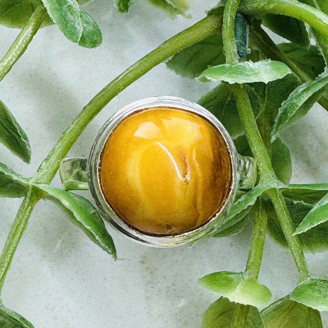 Bone Amber Ring - Size 7 Round Bezel - Sterling Silver .925