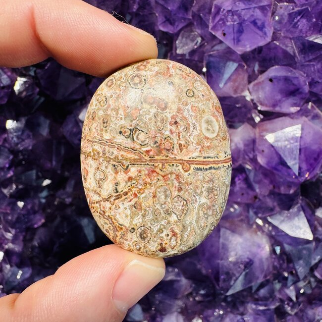 Red Leopardskin Jasper Palm Pillow Pocket Stone