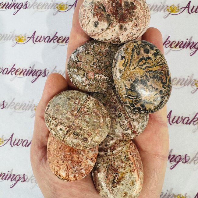 Red Leopardskin Jasper Palm Pillow Pocket Stone