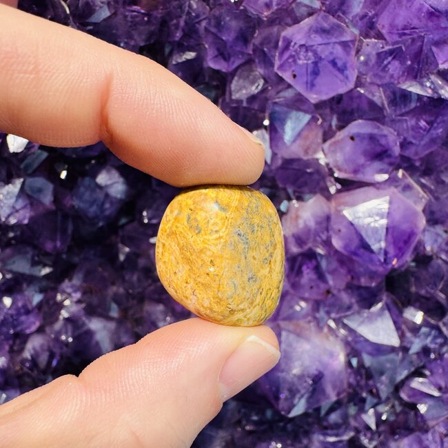 Leopardskin Jasper - Tumbled