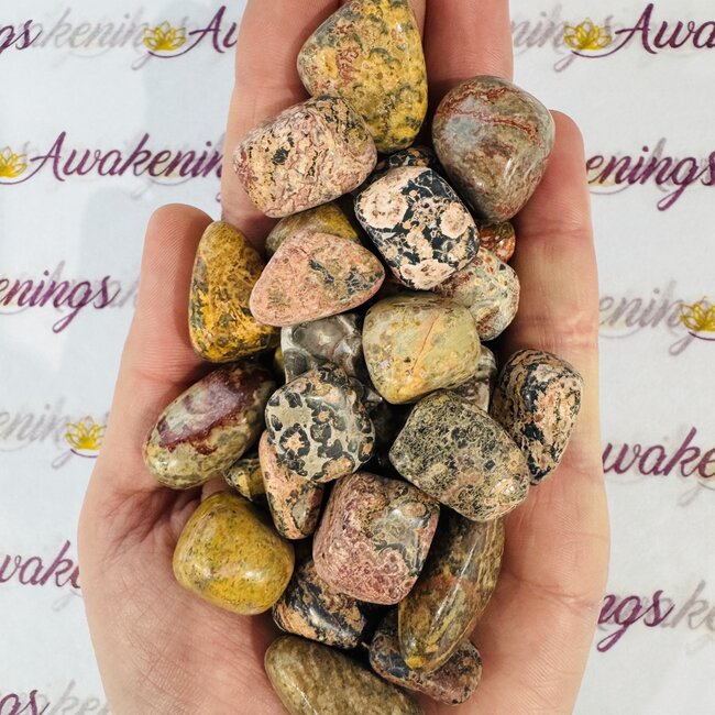 Leopardskin Jasper - Tumbled