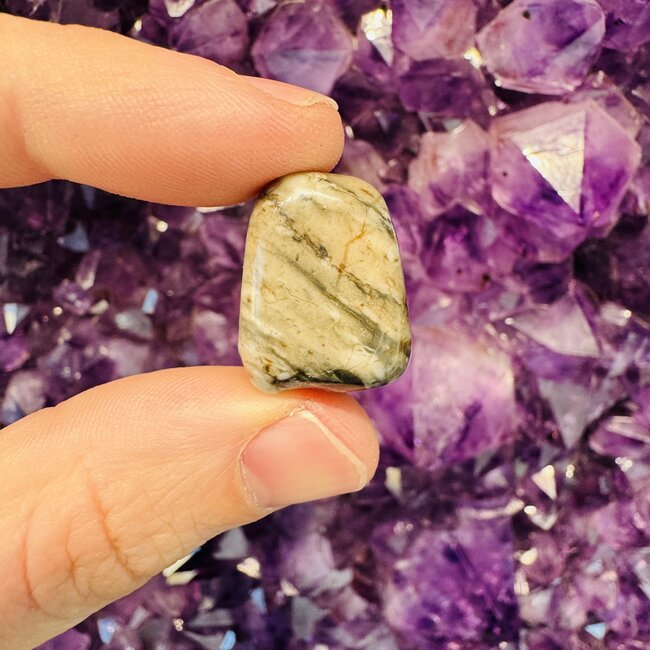 Picasso Jasper - Tumbled
