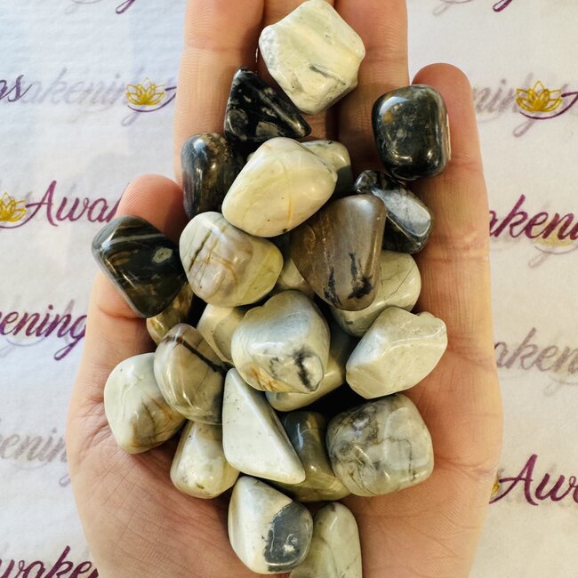 Picasso Jasper - Tumbled