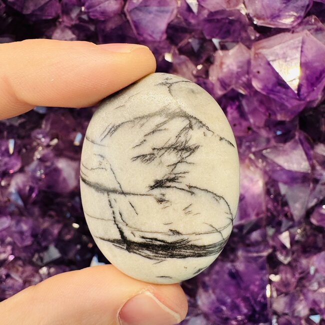 Picasso Jasper Palm Pillow Pocket Stone