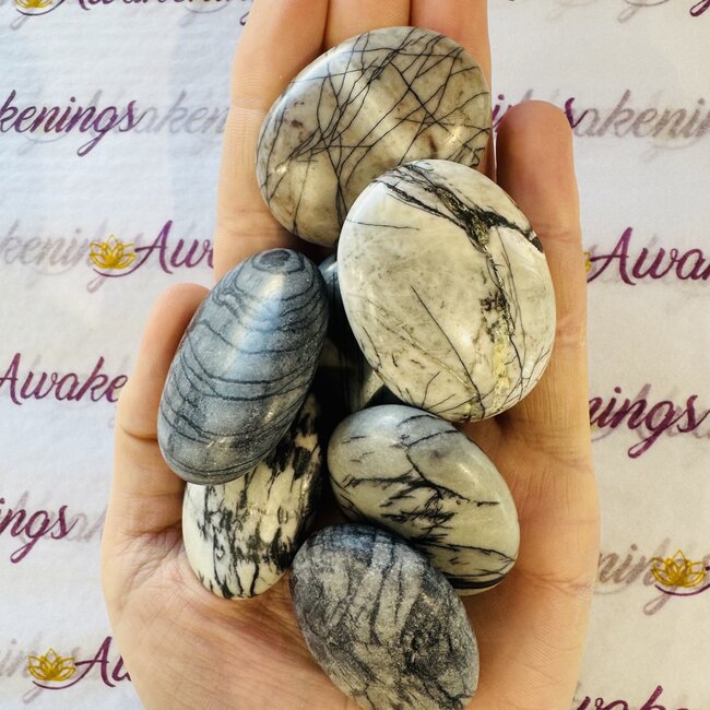 Picasso Jasper Palm Pillow Pocket Stone