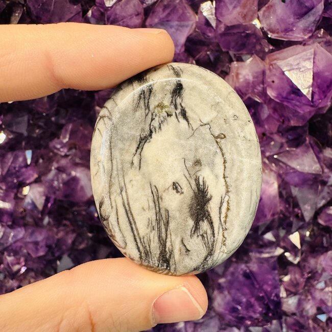 Picasso Jasper Worry (Thumb Fidget Relaxation Pocket) Stones - Large Oval