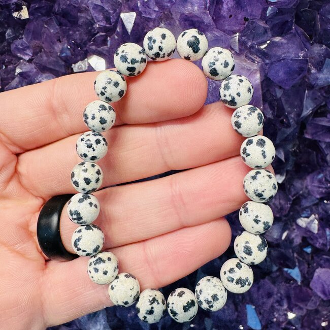 Dalmatian Jasper Bracelets - 8mm