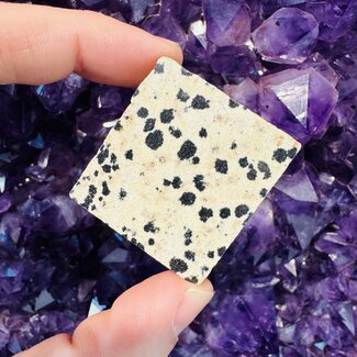 Dalmatian Jasper Slab - 2"