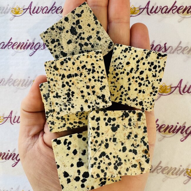 Dalmatian Jasper Slab - 2"