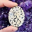 Dalmatian Jasper Palm Pillow Pocket Stone