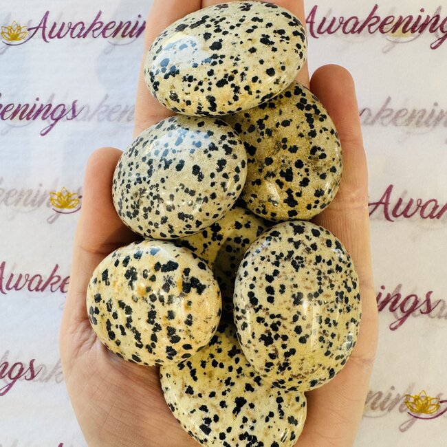 Dalmatian Jasper Palm Pillow Pocket Stone