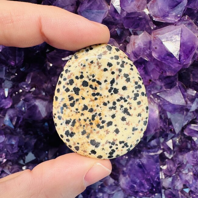 Dalmatian Jasper Worry Stones - Large Oval