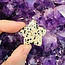 Dalmatian Jasper Medium Stars