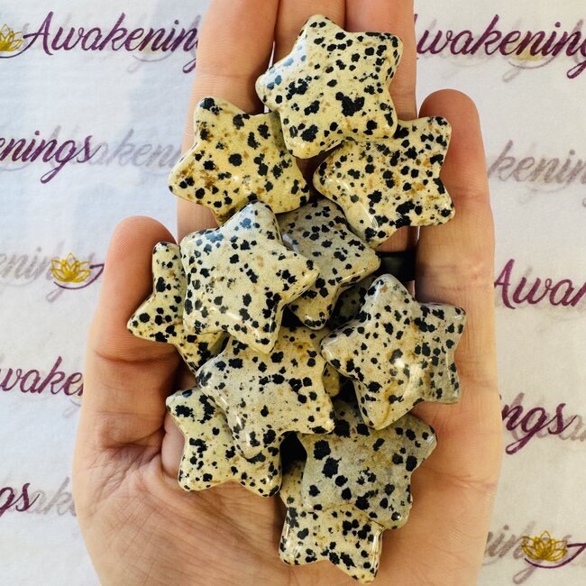 Dalmatian Jasper Medium Stars
