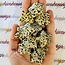 Dalmatian Jasper Medium Stars