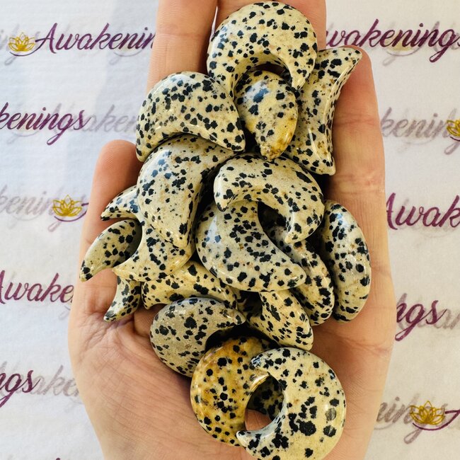 Dalmatian Jasper Moon- Medium