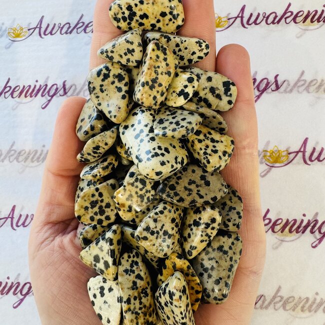 Dalmatian Jasper - Tumbled