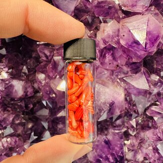 Red Coral Chip Vial - 11.25 grams +