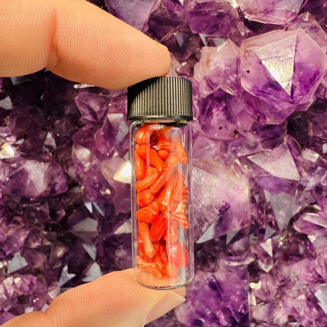 Red Coral Chip Vial - 11.25 grams +