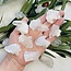 Clear (Crystal) Quartz Clusters - Small Rough Raw Natural
