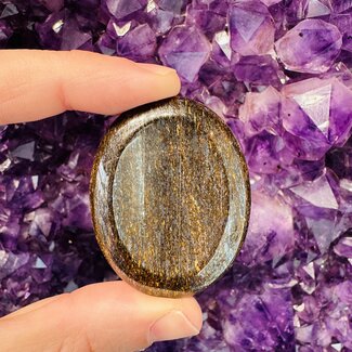 Bronzite (Enstatite Axinite) Worry (Thumb Fidget Relaxation Pocket) Stones - Large Oval