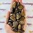 Bronzite (Enstatite Axinite) - Tumbled