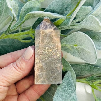 Black Sunstone (Heliolite) with Rainbow Lattice - Tower Point Generator - Medium 2-3"