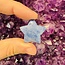 Blue Aventurine Stars- Medium