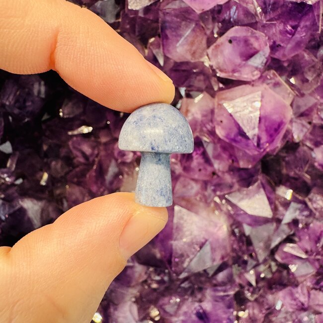 Blue Aventurine Mushrooms - Mini