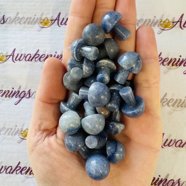 Blue Aventurine Mushrooms - Mini