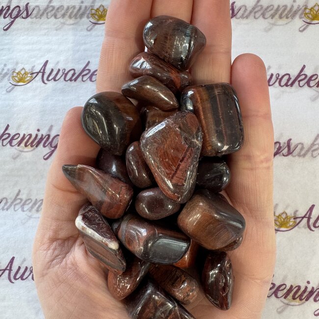 Red Tigers Eye - Tumbled