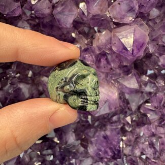 Crocodile (Kambaba) Jasper (Green Stromatolite) Skulls - Mini