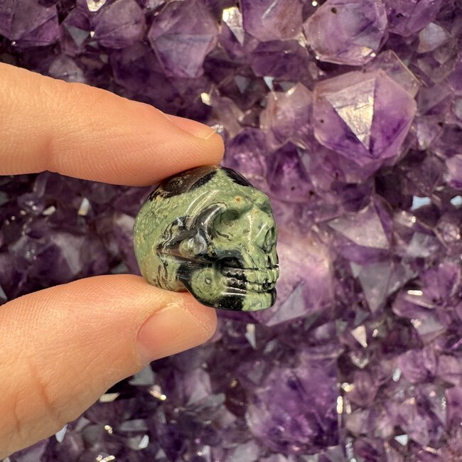 Crocodile (Kambaba) Jasper (Green Stromatolite) Skulls - Mini