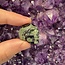 Crocodile (Kambaba) Jasper (Green Stromatolite) Skulls - Mini