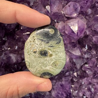 Crocodile (Kambaba) Jasper (Green Stromatolite) Slice - Mini Slab Flat