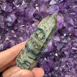 Crocodile (Kambaba) Jasper (Green Stromatolite) Tower Point Generator - Medium (3-4")