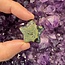 Crocodile (Kambaba) Jasper (Green Stromatolite) Stars - Medium