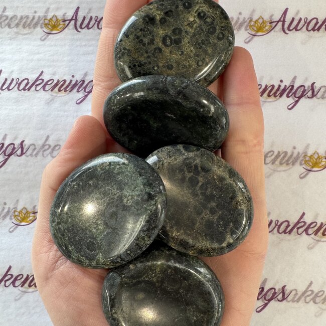 Crocodile (Kambaba) Jasper (Green Stromatolite) Worry (Thumb Fidget Relaxation Pocket) Stones - Large Oval