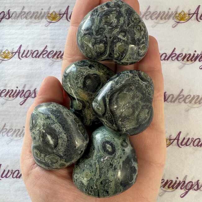 Crocodile (Kambaba) Puffy Hearts - Medium