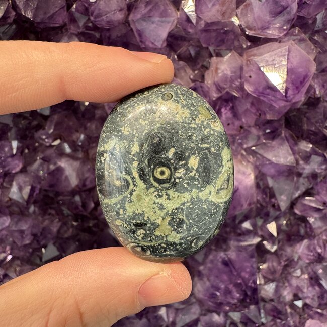 Crocodile (Kambaba) Jasper (Green Stromatolite) Palm Pillow Pocket Stone