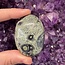 Crocodile (Kambaba) Jasper (Green Stromatolite) Palm Pillow Pocket Stone - Large